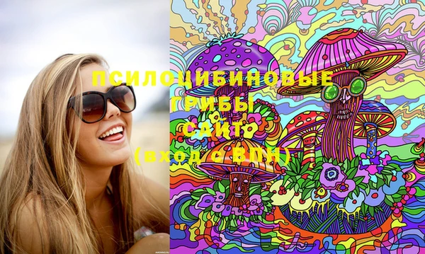 стафф Алексин