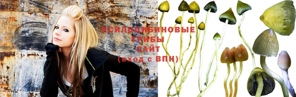 стафф Алексин