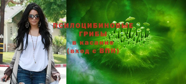 стафф Алексин