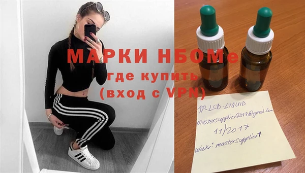 стафф Алексин