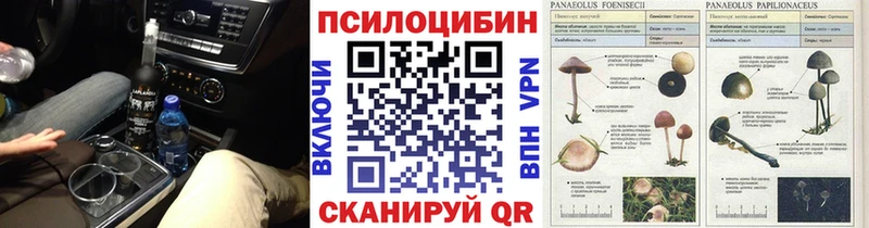 Купить  Верхняя Тура  Псилоцибиновые грибы Psilocybe 